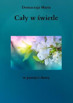 Cały w świetle – ebook