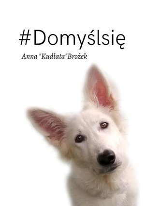 Domyśl się! – ebook