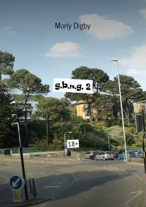 g.b.n.g. 2 – ebook
