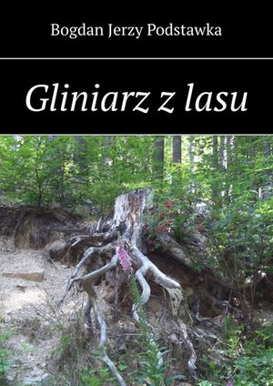 Gliniarz z lasu – ebook