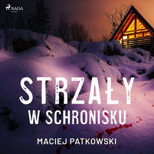 Strzały w schronisku – audiobook