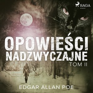 Opowieści nadzwyczajne - Tom II – audiobook