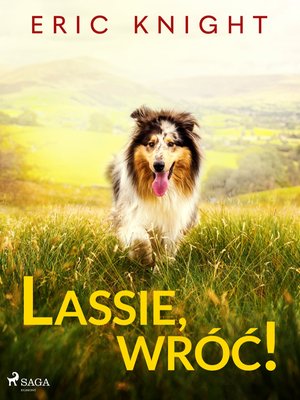 Lassie, wróć! – ebook