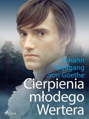 Cierpienia młodego Wertera – ebook