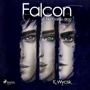 Falcon II Na rozstaju dróg – audiobook