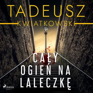Cały ogień na laleczkę – audiobook