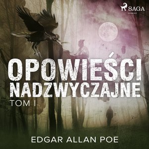 Opowieści nadzwyczajne - Tom I – audiobook