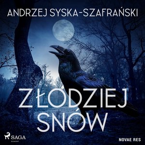 Złodziej snów – audiobook
