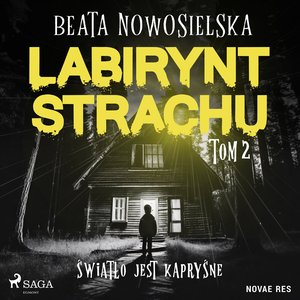 Labirynt strachu. Tom 2. Światło jest kapryśne – audiobook