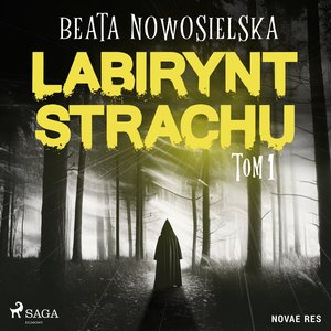 Labirynt strachu. Tom 1 – audiobook