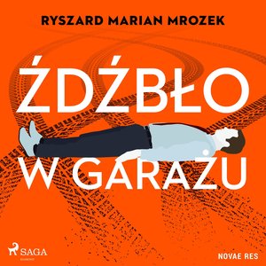 Źdźbło w garażu – audiobook