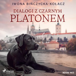 Dialogi z czarnym Platonem – audiobook