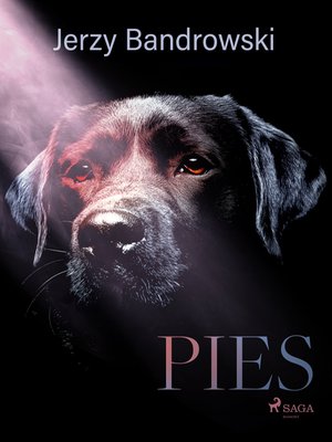 Pies – ebook