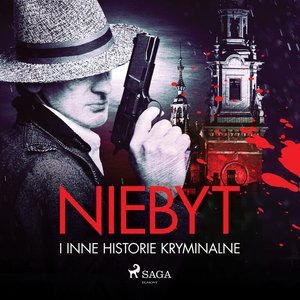 Niebyt i inne historie kryminalne – audiobook
