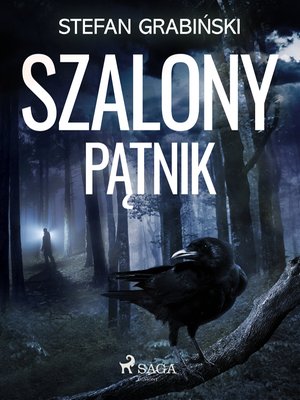 Szalony pątnik – ebook