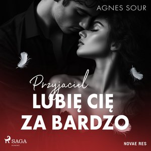 Przyjaciel. Lubię cię za bardzo – audiobook