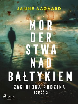 Morderstwa nad Bałtykiem. Część 3. Zaginiona rodzina – ebook