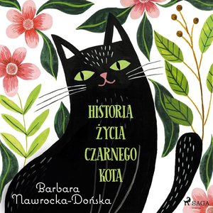 Historia życia czarnego kota – audiobook