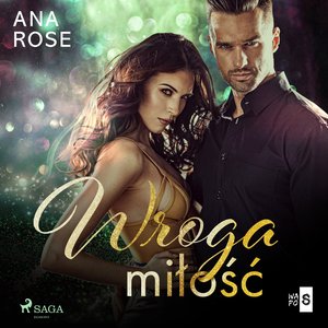 Wroga miłość – audiobook