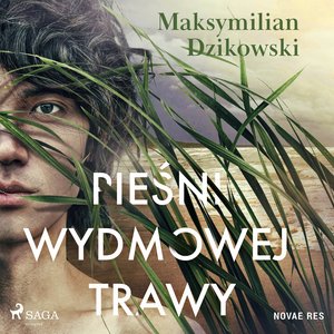 Pieśni wydmowej trawy – audiobook