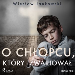 O chłopcu, który zwariował – audiobook