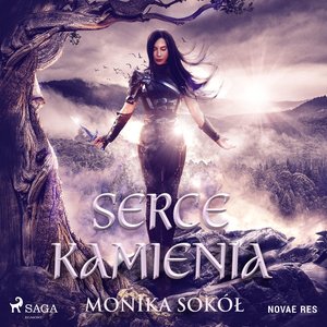 Serce kamienia – audiobook