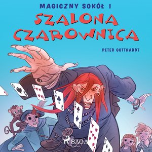 Magiczny sokół 1 - Szalona Czarownica – audiobook