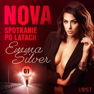 Nova 1: Spotkanie po latach - Erotic noir – audiobook
