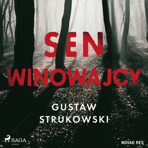 Sen winowajcy – audiobook