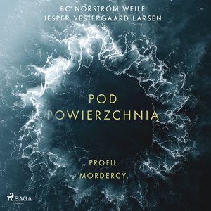 Pod powierzchnią. Profil mordercy – audiobook