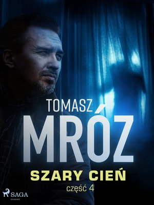 Szary cień – ebook