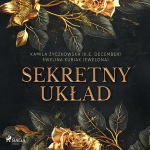 Sekretny układ – audiobook