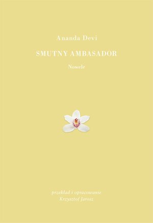 Smutny ambasador – ebook