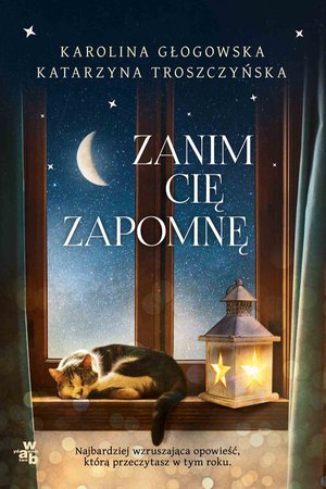 Zanim cię zapomnę – ebook