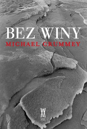 Bez winy – ebook