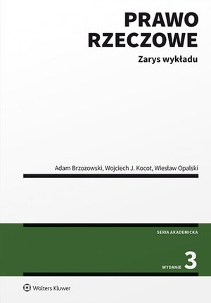 Prawo rzeczowe. Zarys wykładu – ebook