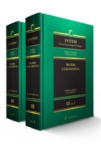 System Prawa Procesowego Cywilnego. TOM 3. Środki zaskarżenia – ebook