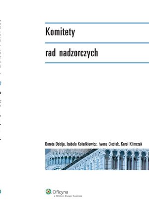 Komitety rad nadzorczych – ebook