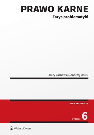 Prawo karne. Zarys problematyki – ebook