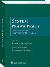System Prawa Pracy. Tom 13 – ebook