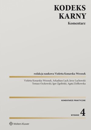 Kodeks karny. Komentarz – ebook