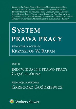System prawa pracy. TOM II. Indywidualne prawo pracy. Część ogólna – ebook