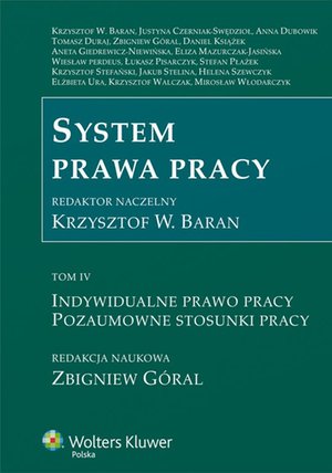 System prawa pracy. TOM IV. Indywidualne prawo pracy. Pozaumowne stosunki pracy – ebook
