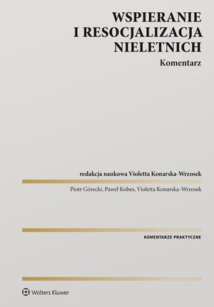 Wspieranie i resocjalizacja nieletnich. Komentarz – ebook