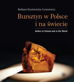 Bursztyn w Polsce i na świecie – ebook