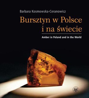 Bursztyn w Polsce i na świecie. Amber in Poland and in the World – ebook