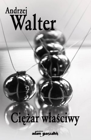Ciężar właściwy – ebook