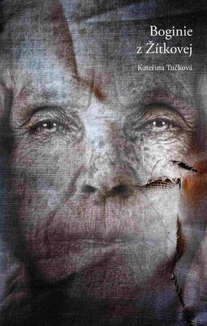 Boginie z Żitkovej – ebook