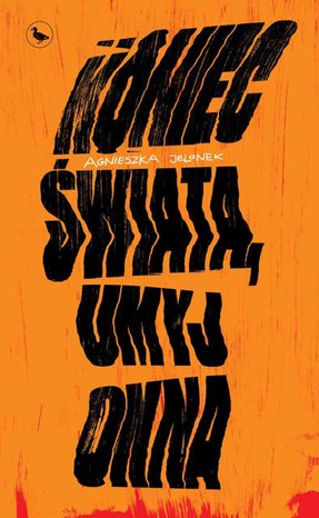 Koniec świata, umyj okna – ebook