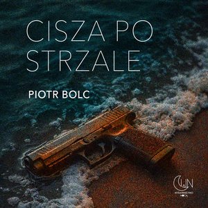 Cisza po strzale – audiobook